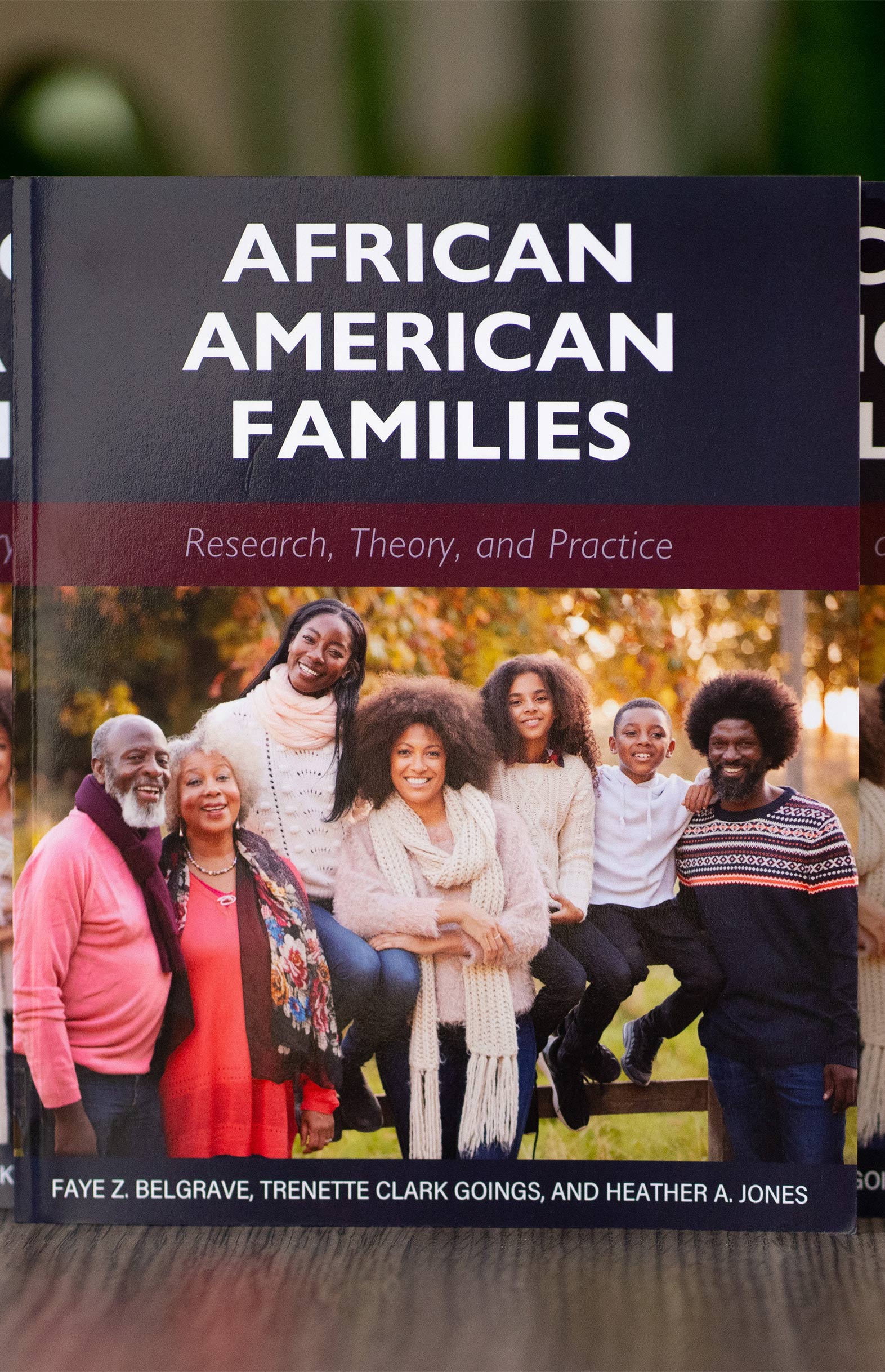 African American Families Book